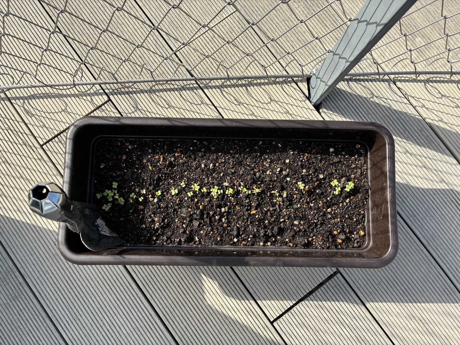 たきぷら農園　シチュー編